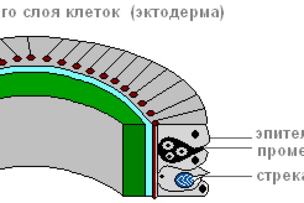 Наркоплощадки кракен