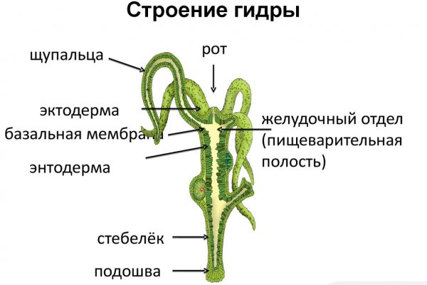 Кракен сайт закладок