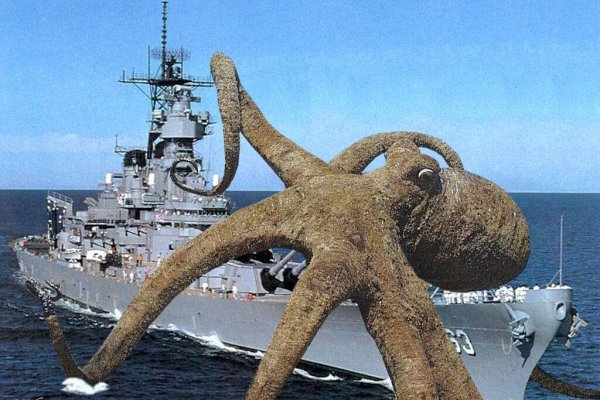 Рабочий кракен