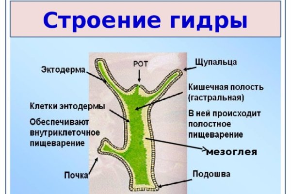 Как купить наркотик в кракен