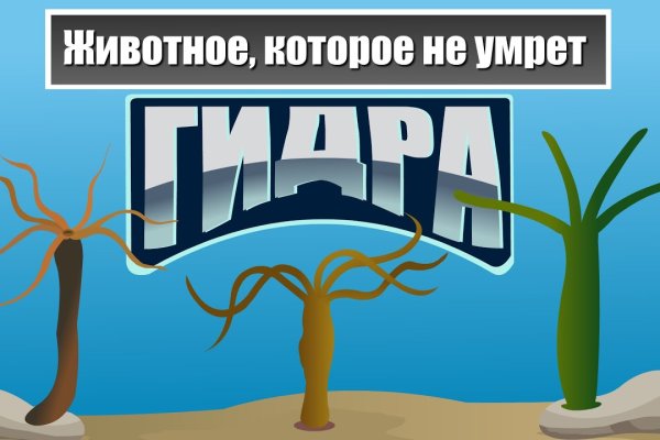 Кракен через тор браузер